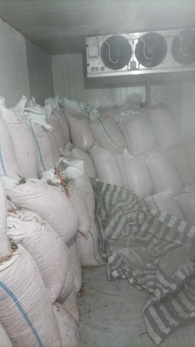 Vand catina congelata