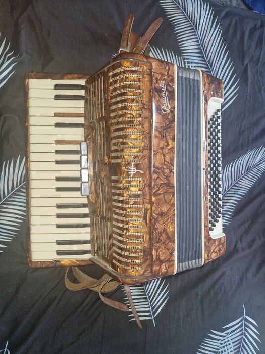 Vând acordeon Perinita