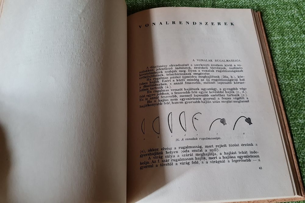 Carte veche de cusaturi broderii unguresti MAGYARSAG  DISZITO  OSZTONE