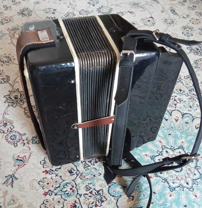 Баян детский Чайка