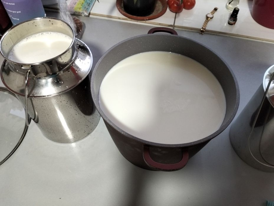 Lapte  de  capră