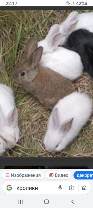 Писать в ватсап все подробности