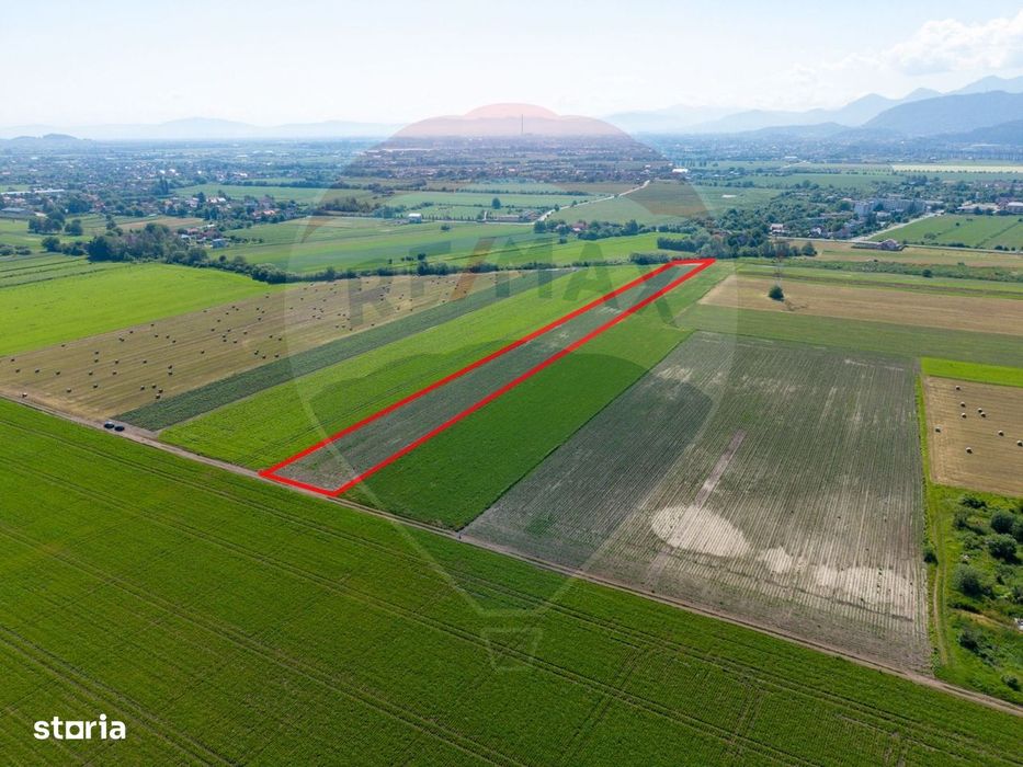 Teren de vânzare 11.500 mp | Ghimbav | Strada Aeroportului