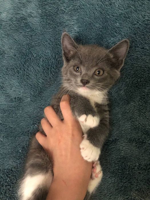 Хадия киламиз яхши кулларга