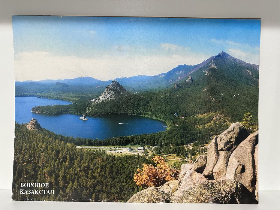 Картина боровое картина