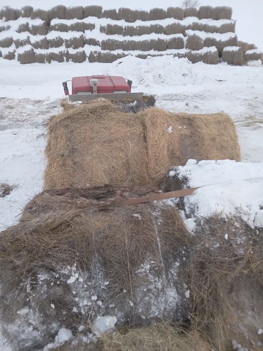 Продам рулоны сено 2025 первый укос