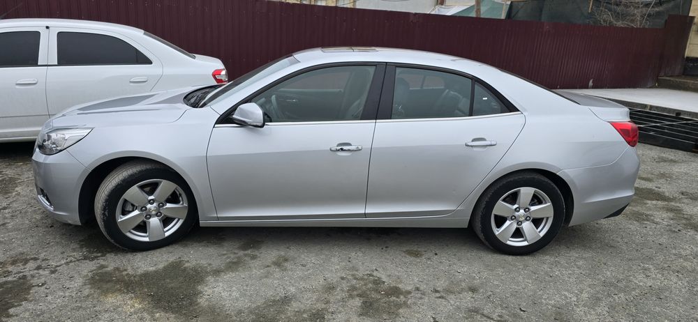 Malubu 2podissa luki bor