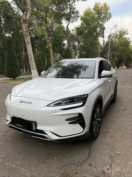 Byd chempion oq 2023