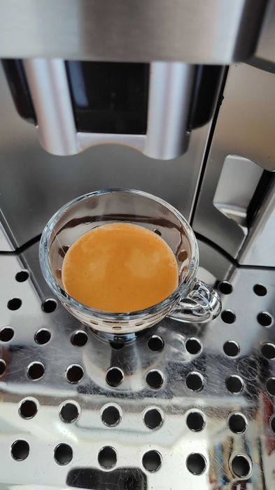 Delonghi PrimaDonna ESAM6600