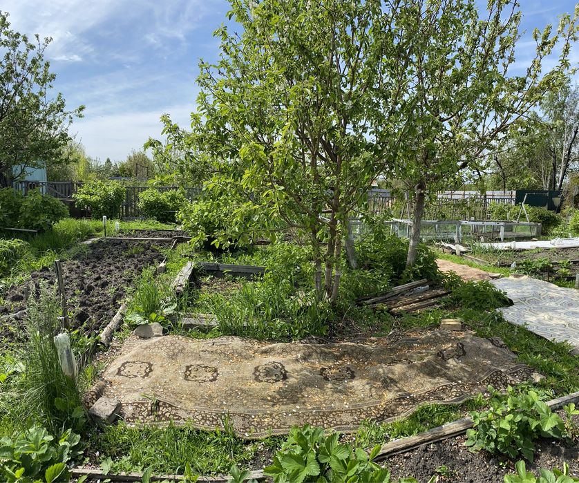 Дача в кооперативе Борки