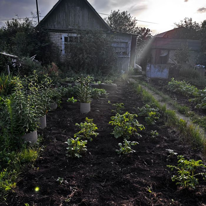 Продам дачу СТ Ромашка.