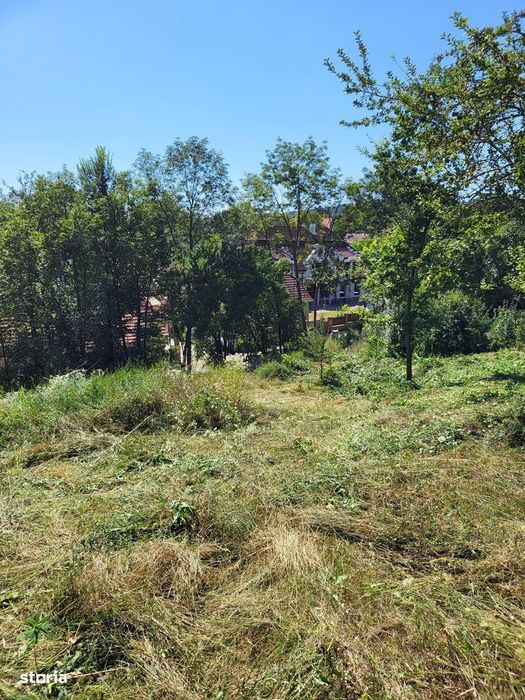 Reducere 6000Eu! Teren Intravilan Cu O Priveliște Superba |1.500 Mp