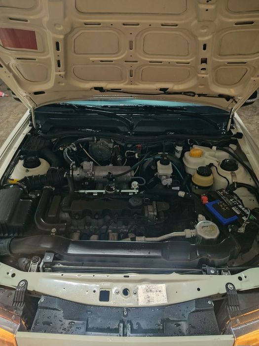 Nexia2 lyuks Kraska top tozza