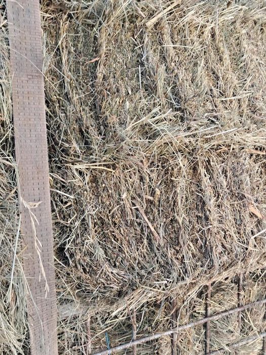 Vând baloți de fân