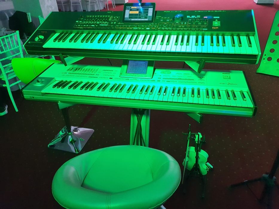 KorgPa2xPro 256mb stare excelentă+husă profesionala cu rotile
