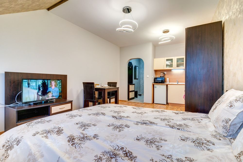 Студио на Смолянските езера