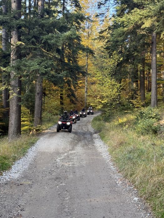 Inchirieri Atv si Buggy