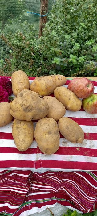 Едри картофи за пълнене!
