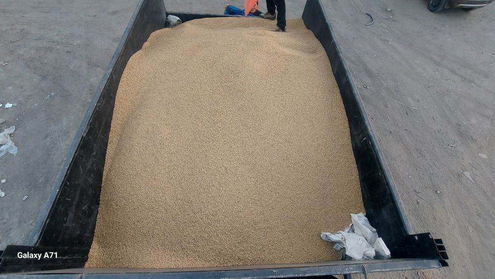 Грузоперевозки самосвал ГАЗ 53