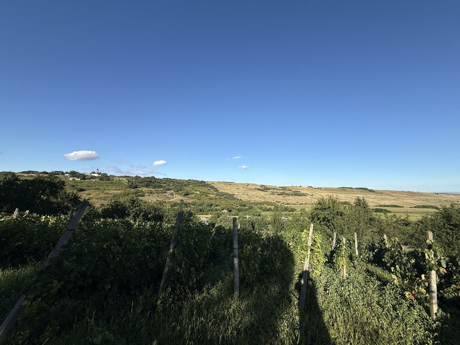 Casa + teren zona viticola Cotnari / Cucuteni- sat Baiceni