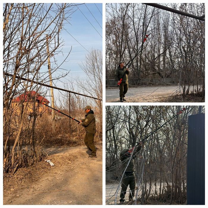 Обрезка срез древесины.