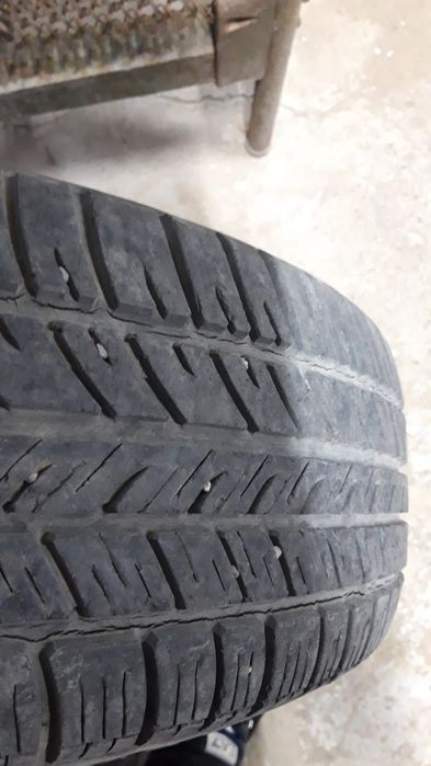 Жазғы балондар сатылымда