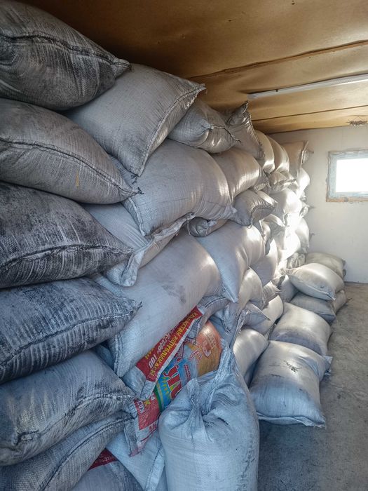 Жоңышқа тұқымы,7жылдық магнитталған