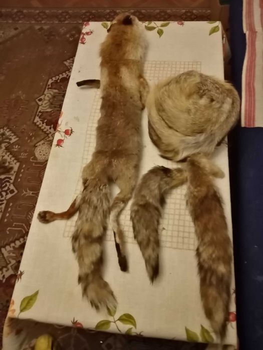 Дамска яка от цяла лисица