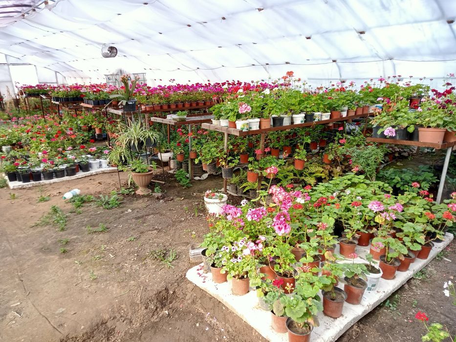 Продам теплицу корейского производства