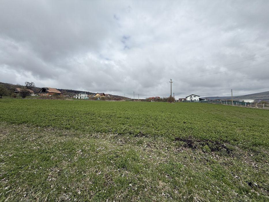 Vand teren Valea Chintaului Mun Cluj Napoca