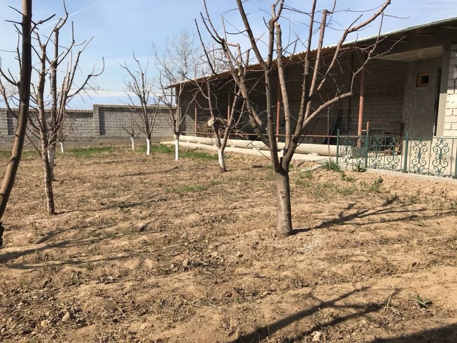 Уй Сотилади! Молхонаси билан!