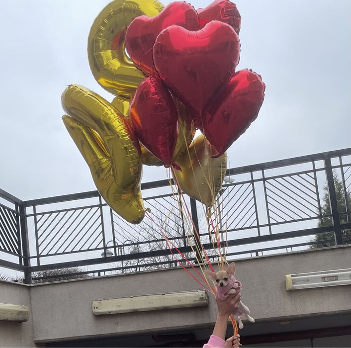 Парти декорации, балони с хелий