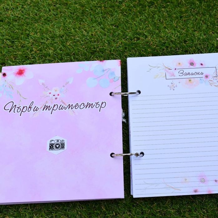 Дневниче за бременността