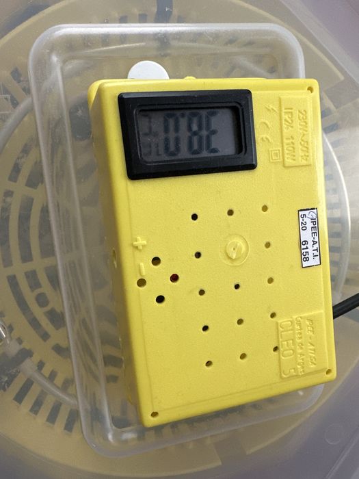 Incubator Cleo 5 DTh cu afișajul temp. și umiditate , apa din ext.