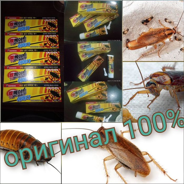 Мега скидка на 10дней корейские гель от тараканов 60грамм