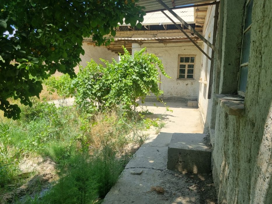 Bez posrednik. Maklersiz. Samarqand Paxtachi tumanida 14sotix uchastka