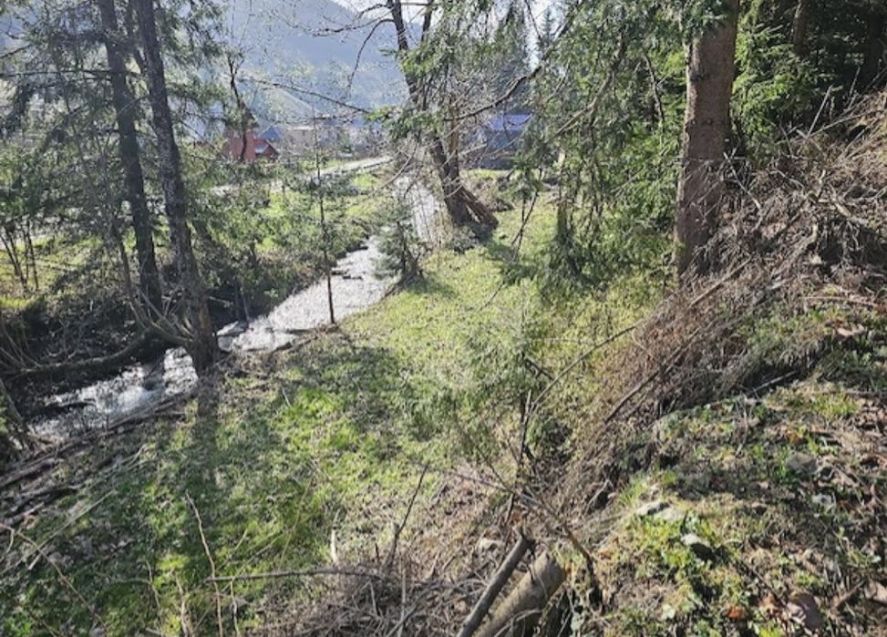 Teren in  Bucovina  Pojorâta