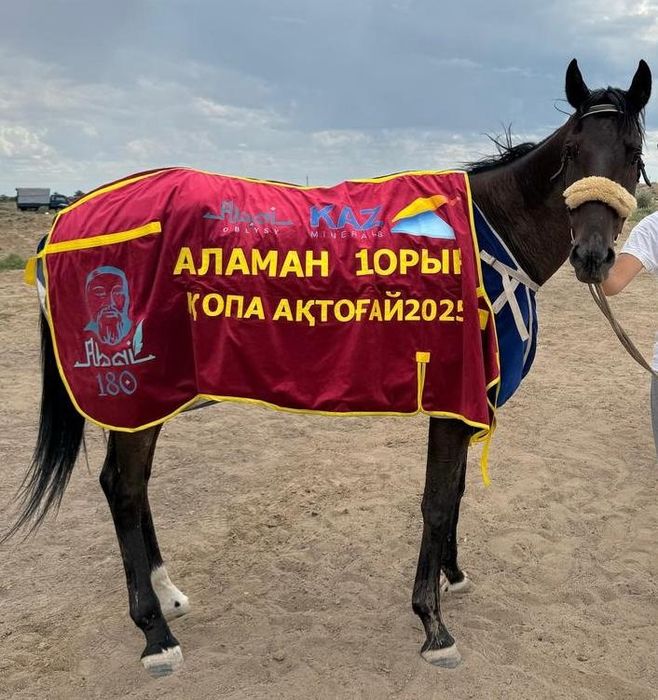 Жабулар, Попоны, полупопоны