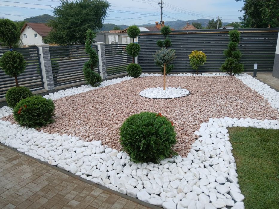 Amenajări grădini de la A la Z plante ornamentale