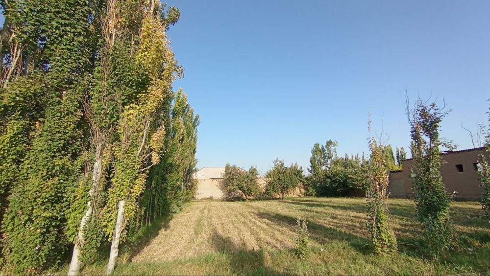 Xosildor YER 15 Sotix _ Suv , Gaz, Elektr tarmog'i doimiy mavjud!