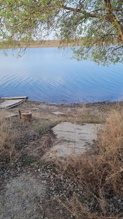 Дачный участок с домиком