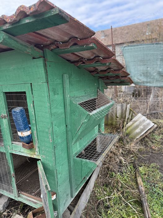 Vand cusca pentru iepuri