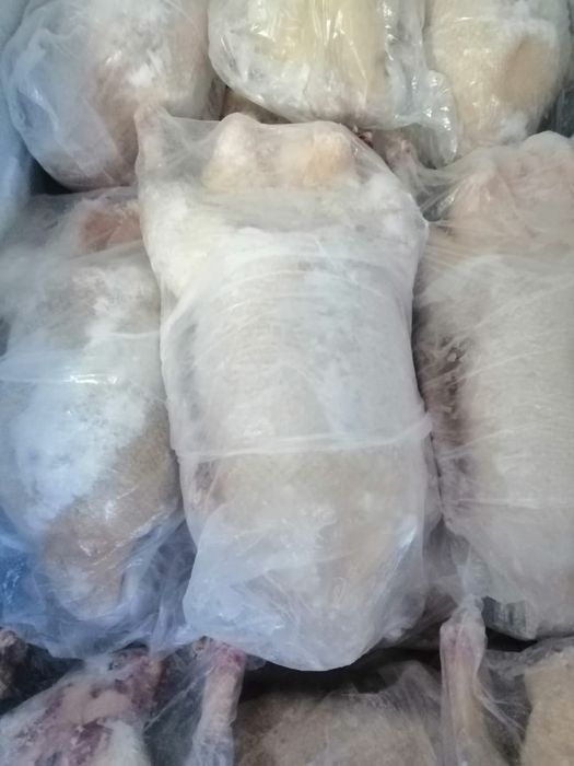 Продам гусей , гусь домашний