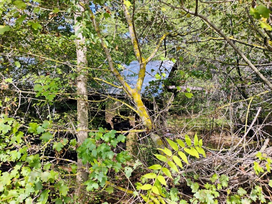 Продава се Парцел в Варна, м-т Боровец - север - 575 кв.м за 61 €/кв.м - Снимка #2