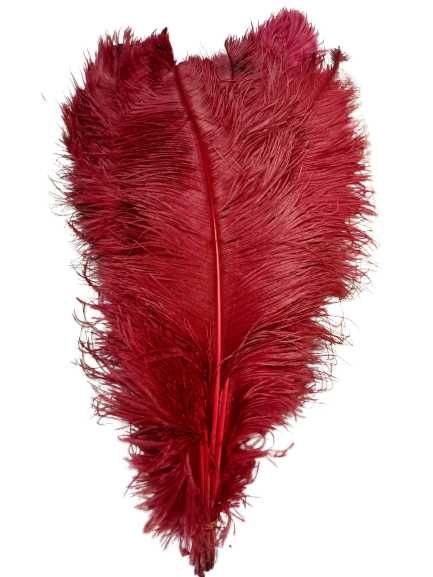 Pene de struti de vanzare