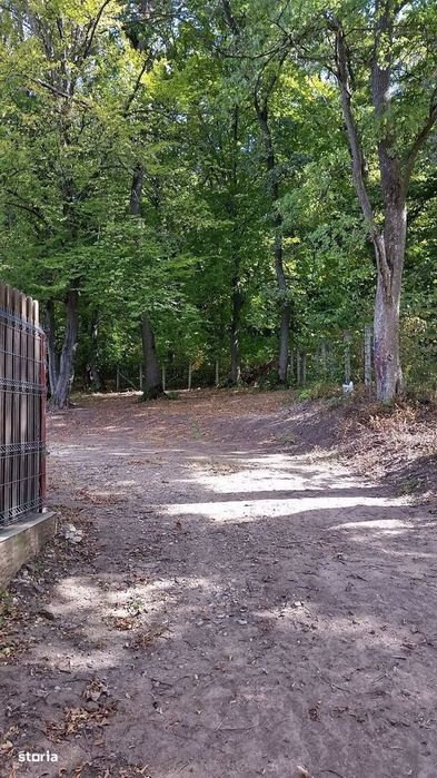 proprietar vand teren extravilan FELEAC