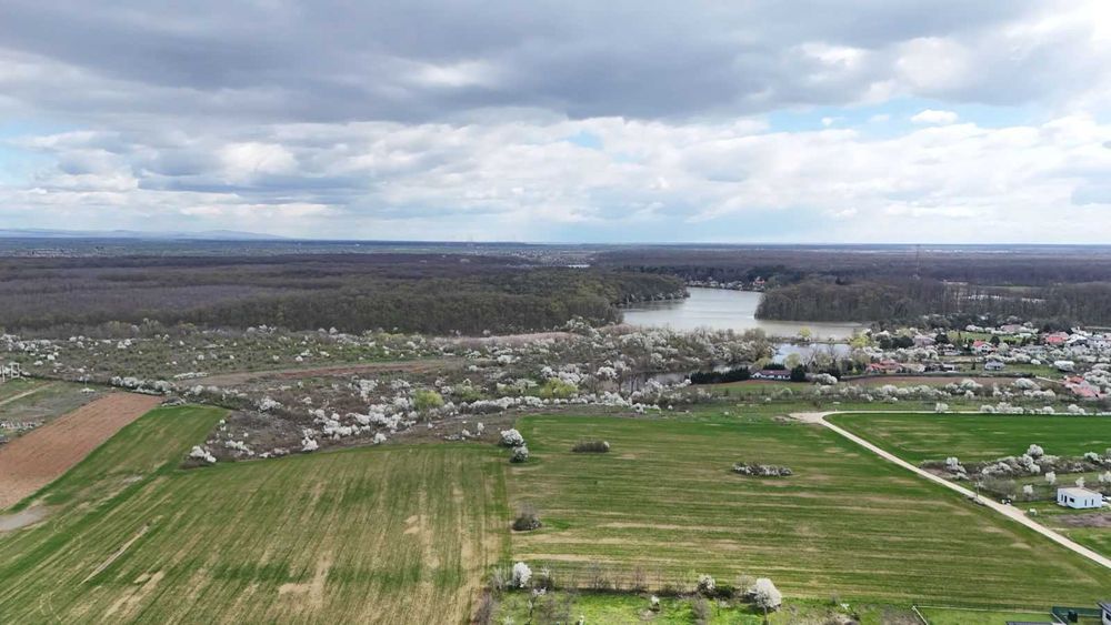 Teren Bălteni (Scroviștea) - Periș 1581 mp