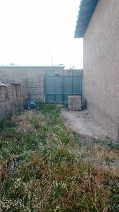 Hovli srochna sotiladi 11 sotix,