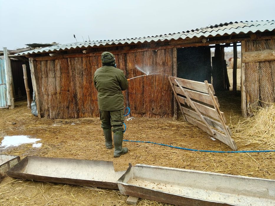 Дезинфекция. Кәсіби өңдеу.