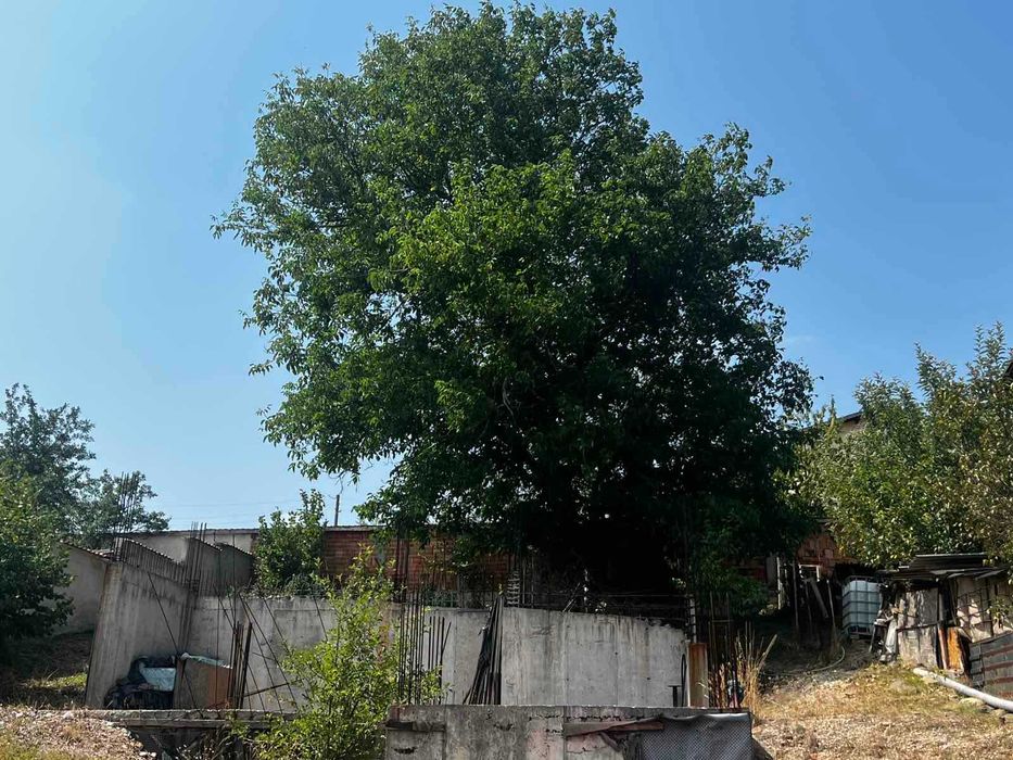 Парцел в регулация с проект за къща – гр. Сливница